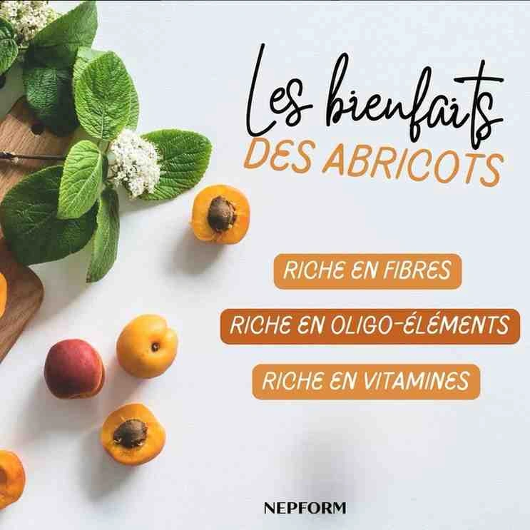 nepform-team - Réalisation Nepform